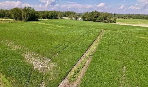 Photo #21 of SOLD property in Off Craven Farms Road, Vanceboro, NC 18.6 acres