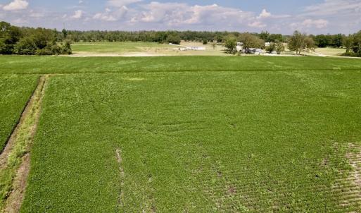 Photo #22 of SOLD property in Off Craven Farms Road, Vanceboro, NC 18.6 acres
