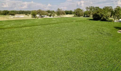 Photo #24 of SOLD property in Off Craven Farms Road, Vanceboro, NC 18.6 acres
