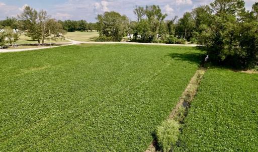 Photo #25 of SOLD property in Off Craven Farms Road, Vanceboro, NC 18.6 acres