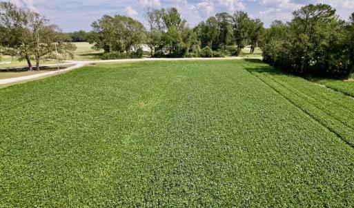 Photo #26 of SOLD property in Off Craven Farms Road, Vanceboro, NC 18.6 acres