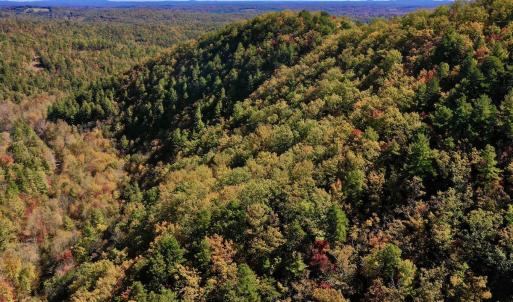 Photo #4 of SOLD property in Off Pole Bridge Rd, Stuart, VA 35.9 acres