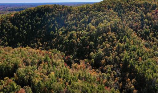Photo #5 of SOLD property in Off Pole Bridge Rd, Stuart, VA 35.9 acres