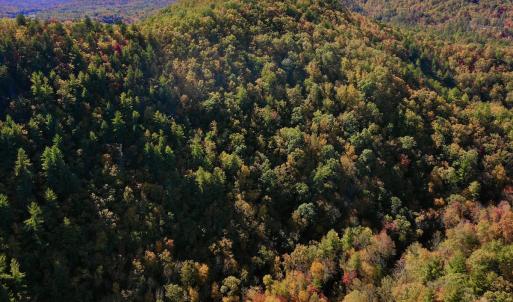 Photo #7 of SOLD property in Off Pole Bridge Rd, Stuart, VA 35.9 acres