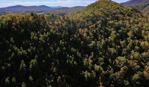 Photo #8 of SOLD property in Off Pole Bridge Rd, Stuart, VA 35.9 acres