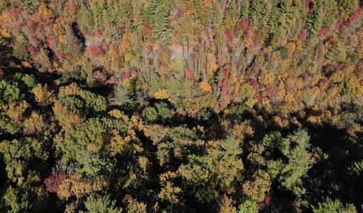 Photo #9 of SOLD property in Off Pole Bridge Rd, Stuart, VA 35.9 acres