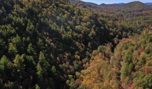 Photo #14 of SOLD property in Off Pole Bridge Rd, Stuart, VA 35.9 acres