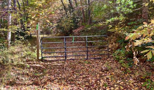 Photo #15 of SOLD property in Off Pole Bridge Rd, Stuart, VA 35.9 acres
