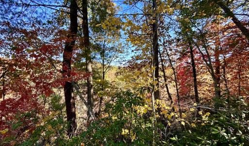 Photo #20 of SOLD property in Off Pole Bridge Rd, Stuart, VA 35.9 acres
