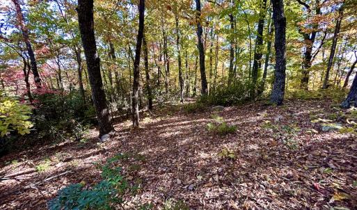 Photo #24 of SOLD property in Off Pole Bridge Rd, Stuart, VA 35.9 acres