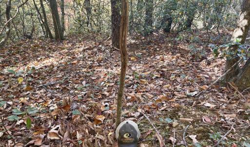 Photo #29 of SOLD property in Off Pole Bridge Rd, Stuart, VA 35.9 acres