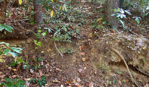 Photo #31 of SOLD property in Off Pole Bridge Rd, Stuart, VA 35.9 acres