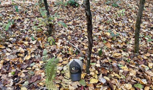 Photo #42 of SOLD property in Off Pole Bridge Rd, Stuart, VA 35.9 acres