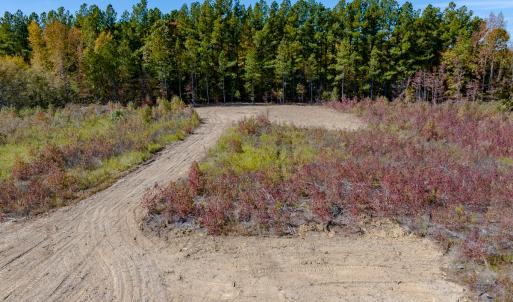 Photo #17 of SOLD property in Off Hughes Mill Road, Lot 5, Burlington, NC 6.0 acres