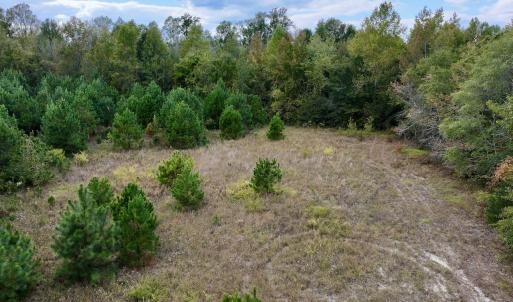 Photo #11 of SOLD property in Off Old Washington Road, Washington, NC 4.0 acres
