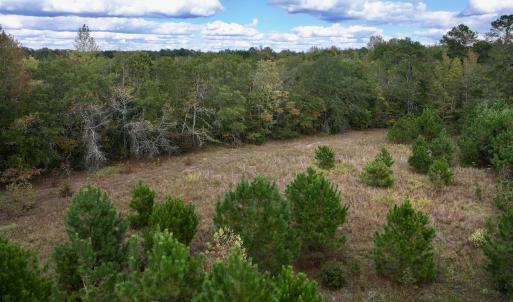 Photo #13 of SOLD property in Off Old Washington Road, Washington, NC 4.0 acres