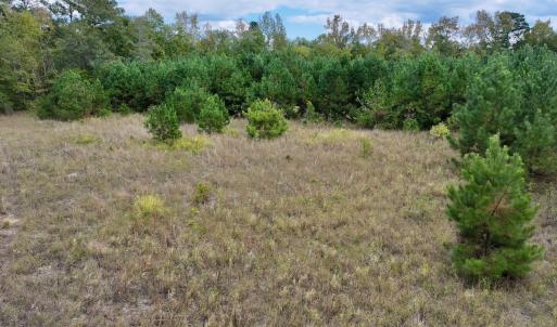 Photo #14 of SOLD property in Off Old Washington Road, Washington, NC 4.0 acres