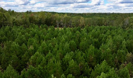 Photo #15 of SOLD property in Off Old Washington Road, Washington, NC 4.0 acres