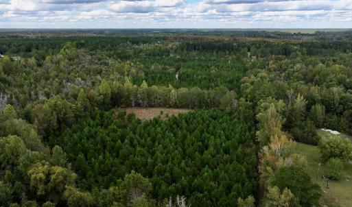 Photo #3 of SOLD property in Off Old Washington Road, Washington, NC 4.0 acres