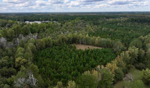 Photo #4 of SOLD property in Off Old Washington Road, Washington, NC 4.0 acres