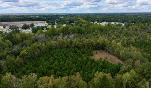 Photo #5 of SOLD property in Off Old Washington Road, Washington, NC 4.0 acres