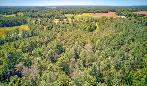 Photo #15 of SOLD property in Off Clark Road , Bladenboro, NC 6.0 acres