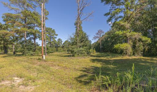 Photo #19 of SOLD property in Off Clark Road , Bladenboro, NC 6.0 acres