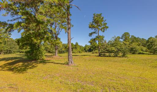 Photo #21 of SOLD property in Off Clark Road , Bladenboro, NC 6.0 acres