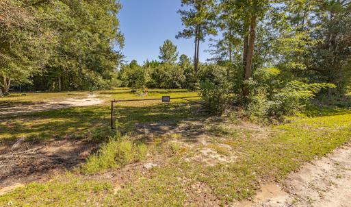Photo #22 of SOLD property in Off Clark Road , Bladenboro, NC 6.0 acres