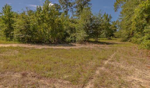 Photo #24 of SOLD property in Off Clark Road , Bladenboro, NC 6.0 acres