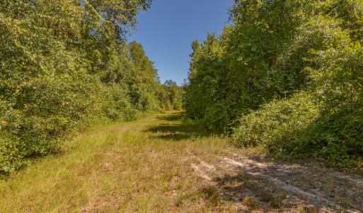 Photo #25 of SOLD property in Off Clark Road , Bladenboro, NC 6.0 acres