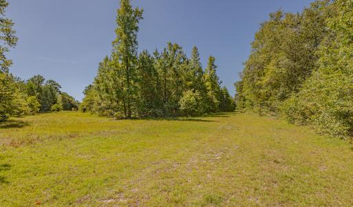 Photo #26 of SOLD property in Off Clark Road , Bladenboro, NC 6.0 acres