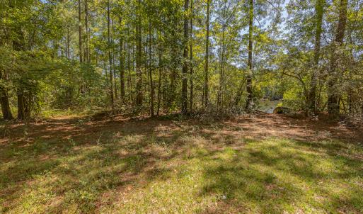 Photo #27 of SOLD property in Off Clark Road , Bladenboro, NC 6.0 acres
