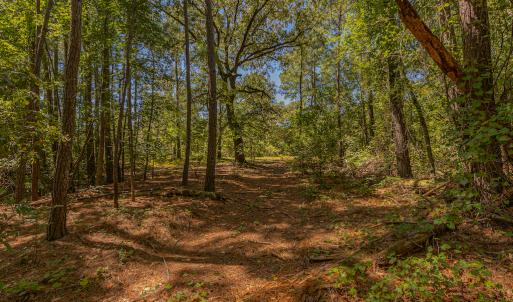 Photo #28 of SOLD property in Off Clark Road , Bladenboro, NC 6.0 acres