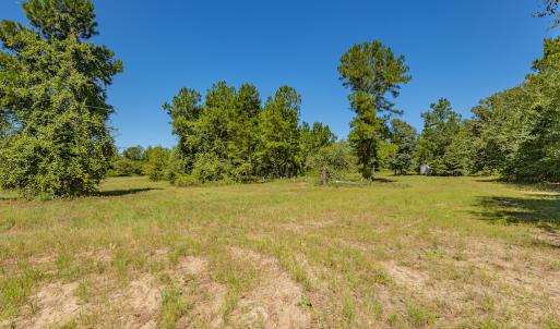 Photo #29 of SOLD property in Off Clark Road , Bladenboro, NC 6.0 acres