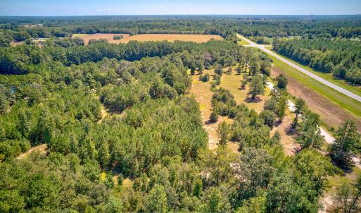 Photo #12 of SOLD property in Off Clark Road , Bladenboro, NC 10.7 acres