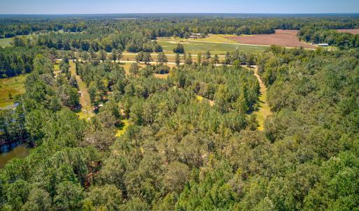 Photo #14 of SOLD property in Off Clark Road , Bladenboro, NC 10.7 acres