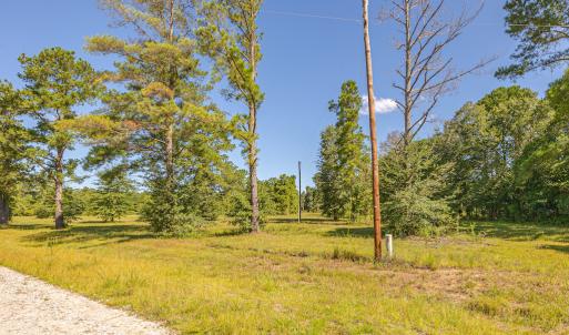 Photo #19 of SOLD property in Off Clark Road , Bladenboro, NC 10.7 acres