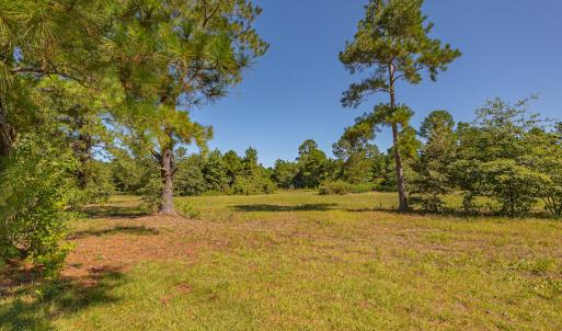 Photo #20 of SOLD property in Off Clark Road , Bladenboro, NC 10.7 acres