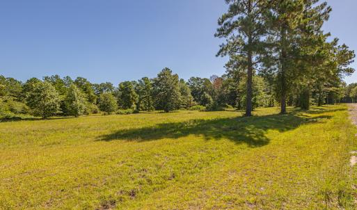 Photo #21 of SOLD property in Off Clark Road , Bladenboro, NC 10.7 acres