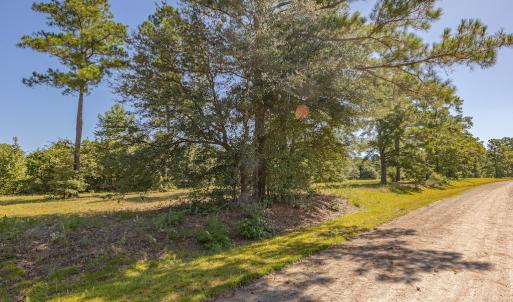 Photo #22 of SOLD property in Off Clark Road , Bladenboro, NC 10.7 acres