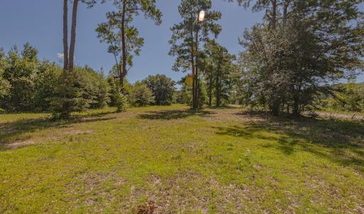Photo #23 of SOLD property in Off Clark Road , Bladenboro, NC 10.7 acres