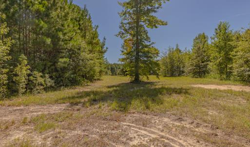 Photo #24 of SOLD property in Off Clark Road , Bladenboro, NC 10.7 acres