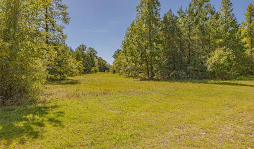 Photo #25 of SOLD property in Off Clark Road , Bladenboro, NC 10.7 acres