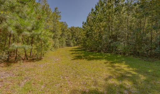Photo #26 of SOLD property in Off Clark Road , Bladenboro, NC 10.7 acres