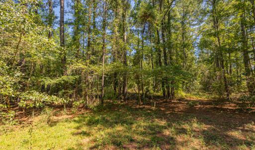 Photo #27 of SOLD property in Off Clark Road , Bladenboro, NC 10.7 acres