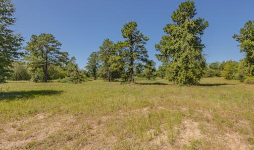 Photo #29 of SOLD property in Off Clark Road , Bladenboro, NC 10.7 acres