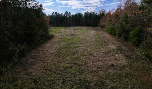 Photo #13 of SOLD property in 1315 NC 43 Hwy, Vanceboro, NC 33.2 acres