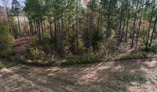 Photo #14 of SOLD property in 1315 NC 43 Hwy, Vanceboro, NC 33.2 acres