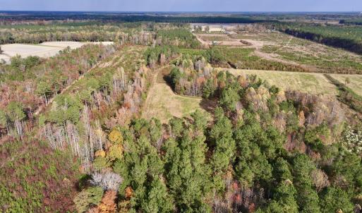 Photo #15 of SOLD property in 1315 NC 43 Hwy, Vanceboro, NC 33.2 acres